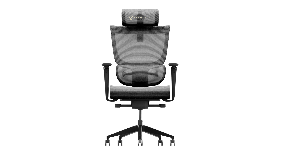 Ergotune Supreme V3 Ergonomic Chair